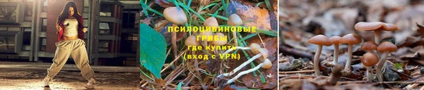 COCAINE Дмитриев