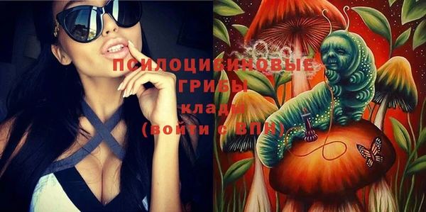 экстази Дмитров