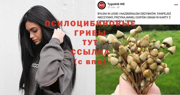 экстази Дмитров