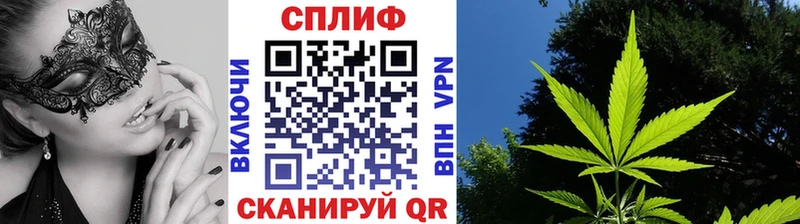 Конопля Amnesia  Мончегорск 